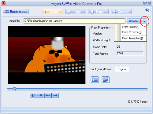 Imput swf files into swf to video converter Pro